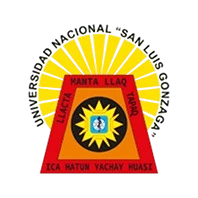 Universidad San Luis Gonzaga